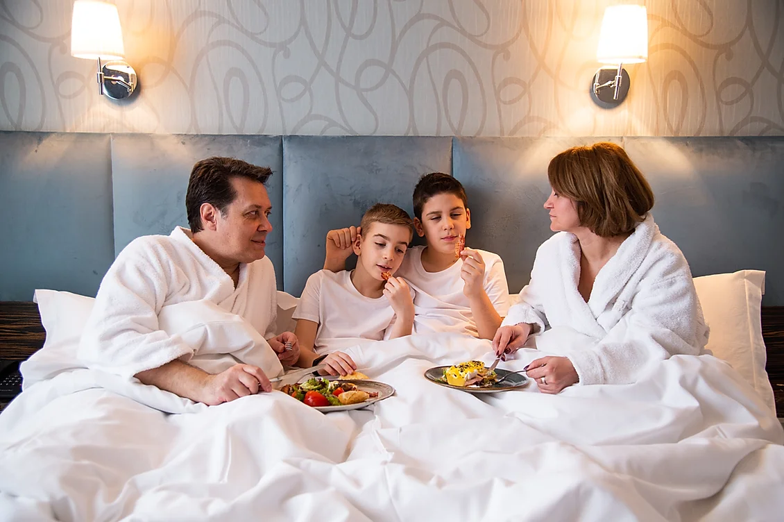 family room crystal hotel belgrade